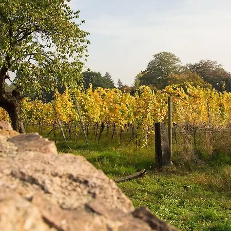 Tiny Haus Auf Idyllischem Grundstück Im Rittergut * Klipphausen