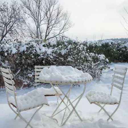 Ferienhaus Tiny Haus Auf Idyllischem Grundstück Im Rittergut Klipphausen