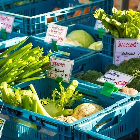 Tiny Haus Auf Idyllischem Grundstueck Im Rittergut *