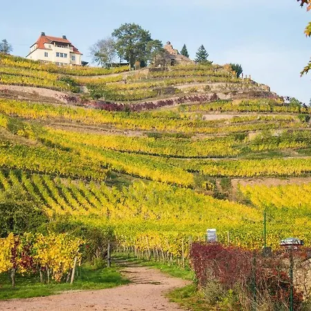 Dom wakacyjny Tiny Haus Auf Idyllischem Grundstueck Im Rittergut *