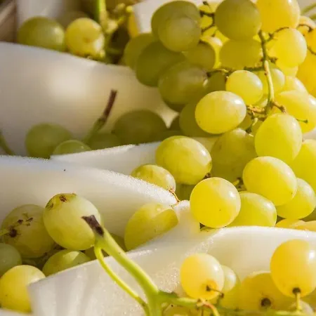 Tiny Haus Auf Idyllischem Grundstück Im Rittergut
