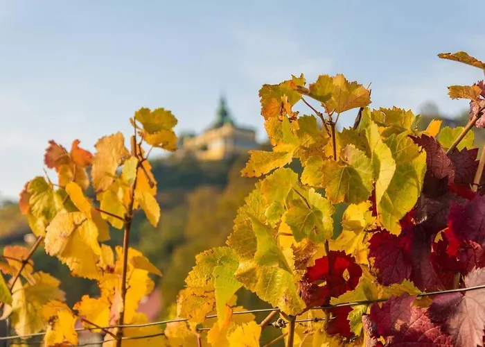 Tiny Haus Auf Idyllischem Grundstueck Im Rittergut Klipphausen