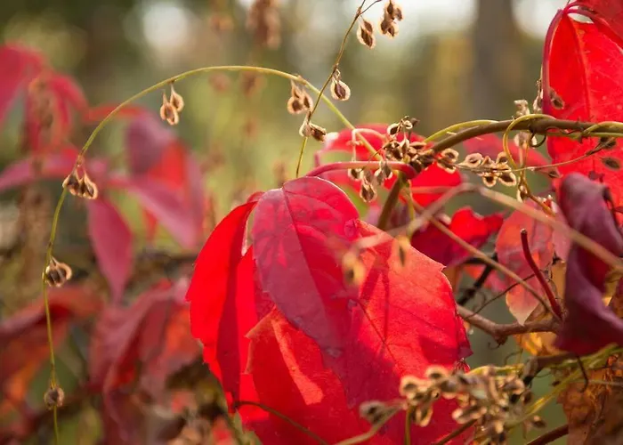 Dom wakacyjny Tiny Haus Auf Idyllischem Grundstueck Im Rittergut Klipphausen
