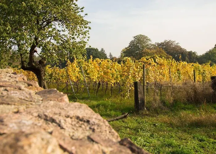 Tiny Haus Auf Idyllischem Grundstueck Im Rittergut * Klipphausen