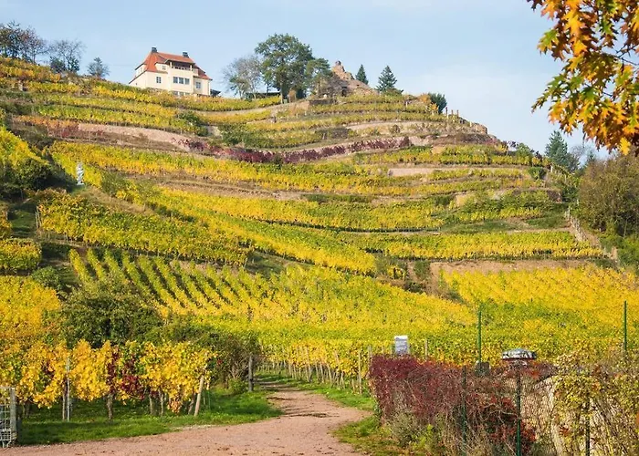 Dom wakacyjny Tiny Haus Auf Idyllischem Grundstueck Im Rittergut *