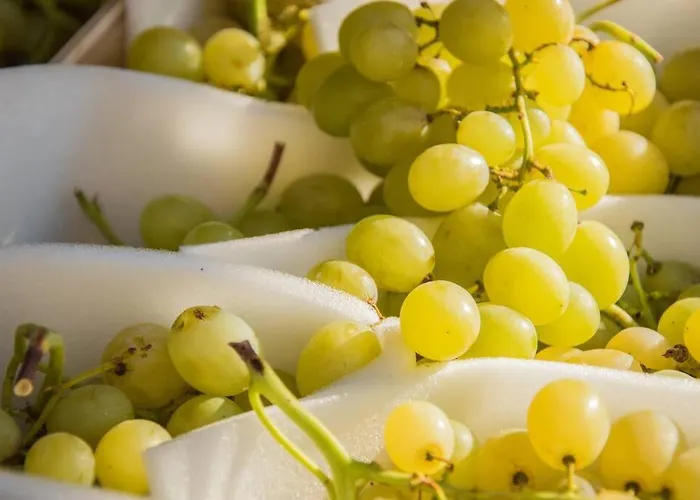 Tiny Haus Auf Idyllischem Grundstueck Im Rittergut