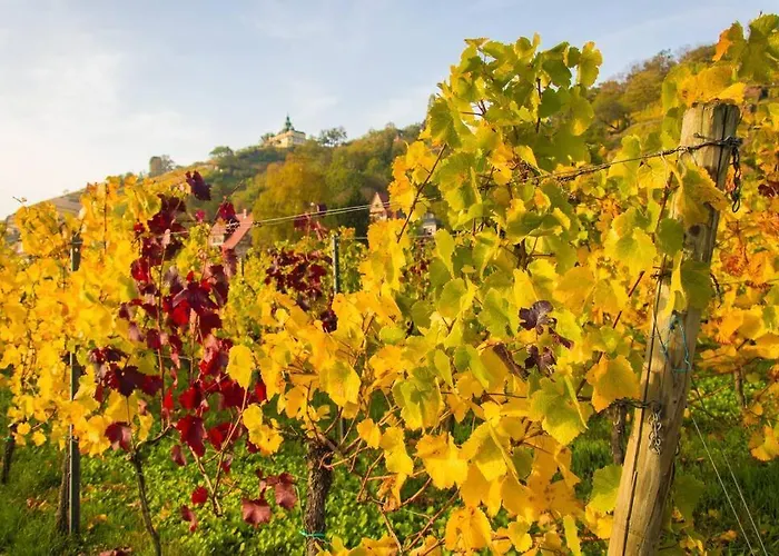 Tiny Haus Auf Idyllischem Grundstueck Im Rittergut Casa vacanze Klipphausen